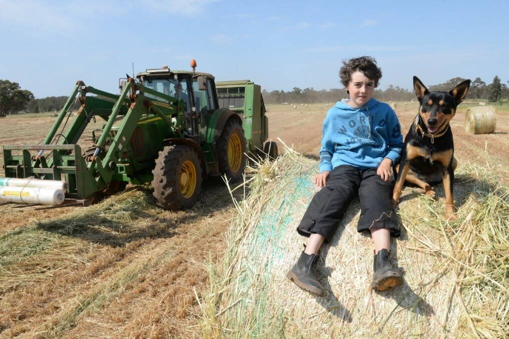 Nate Quigg, Canberra, and Bell the dog helping out with baling oaten hay on his Uncle's farm near Weethalle.