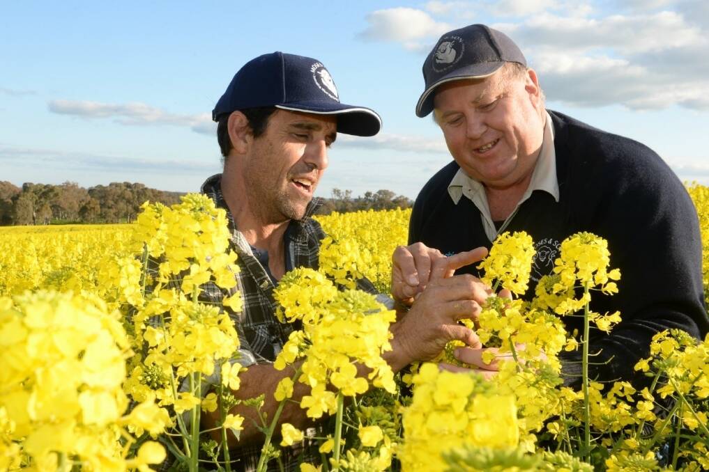 Steve Hicks “Woodlands” Wallendbeen and his wool technical officer, Barry Bradtke check out the crop.