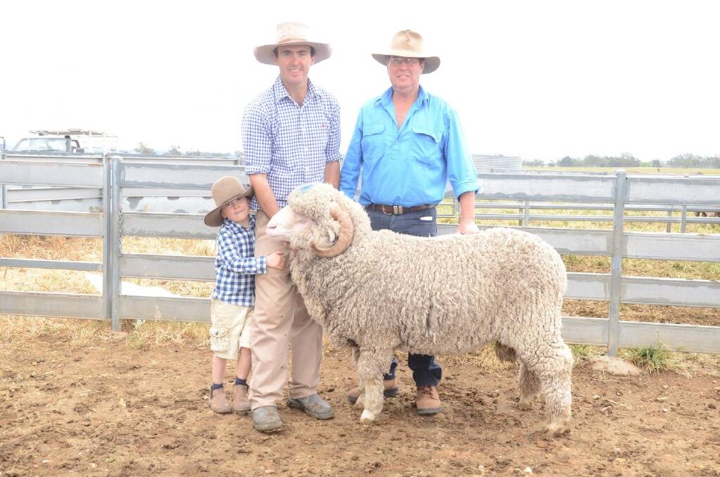 Proceeds of this $1400 ram purchased by Ken Davis, "Pine View", Corowa, were donated to The Shepherd Centre for child hearing.