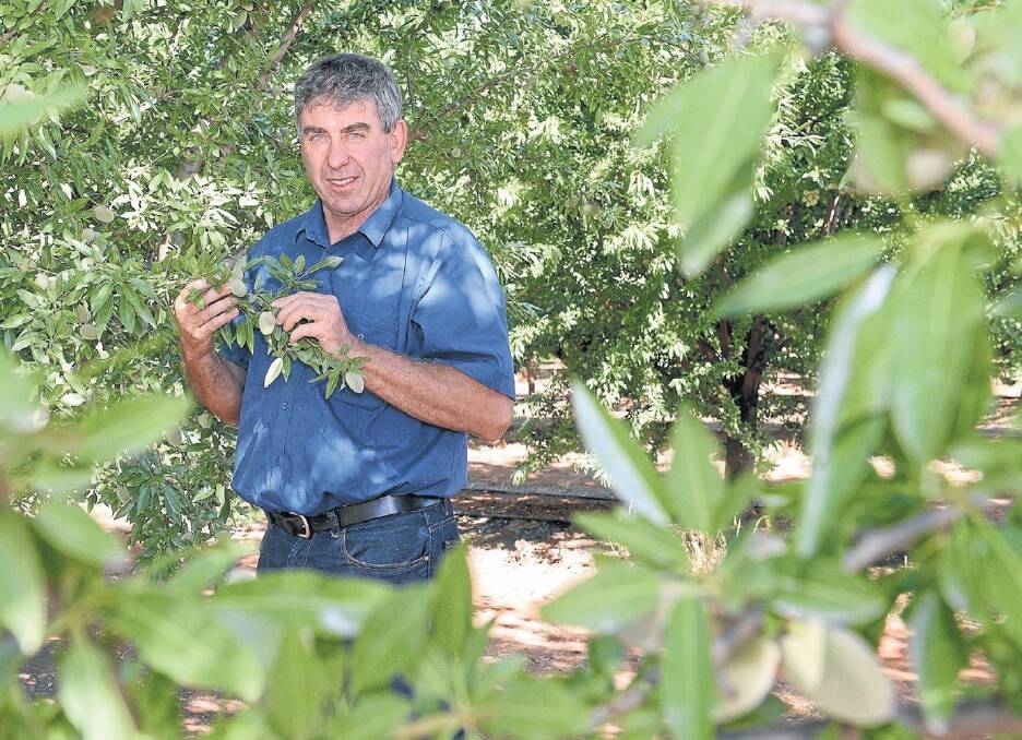 NSW almond grower Paul Rossetto, Yenda says he is confident in the future of Australian almonds.