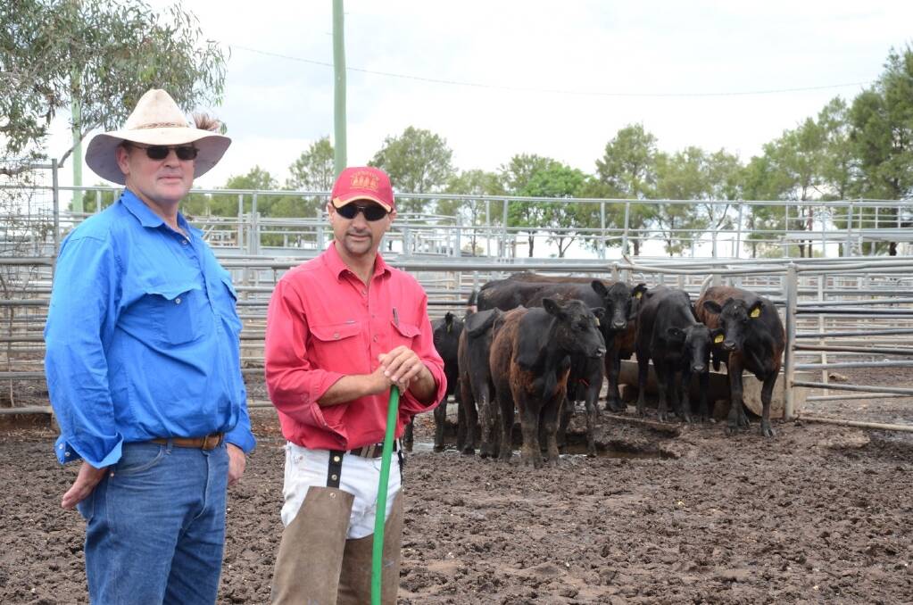 Ian Capel, “Oakdale”, Coolah, and his selling agent, Joe Portelli, P.T. Lord Dakin, Dubbo, with the eight Angus heifers, two years-old and PTIC, Mr Capel paid $1020 a head.