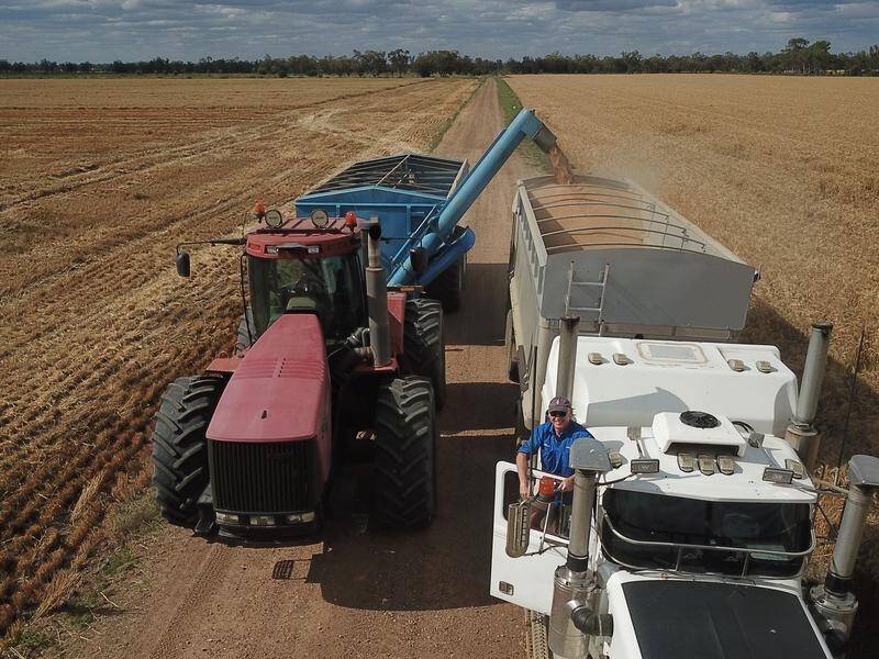 Australian agriculture is enjoying favourable conditions and 30-year price highs, ABARES says.