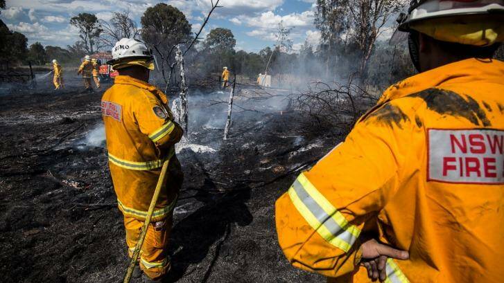 About 11 million hectares of land has burnt and more than 1 billion animals perished in this fire season.