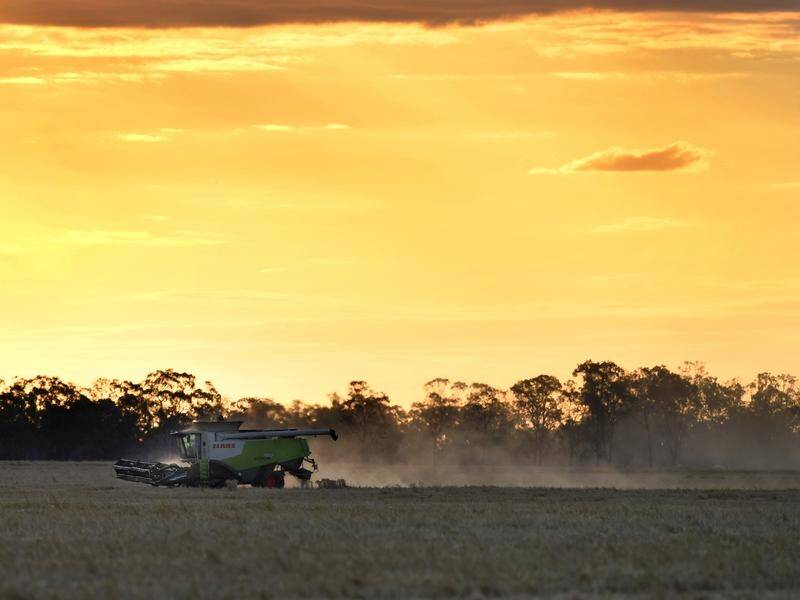 The NSW Rural Fire Service commissioner has reminded farmers using harvesters of the risks. (Dean Lewins/AAP PHOTOS)