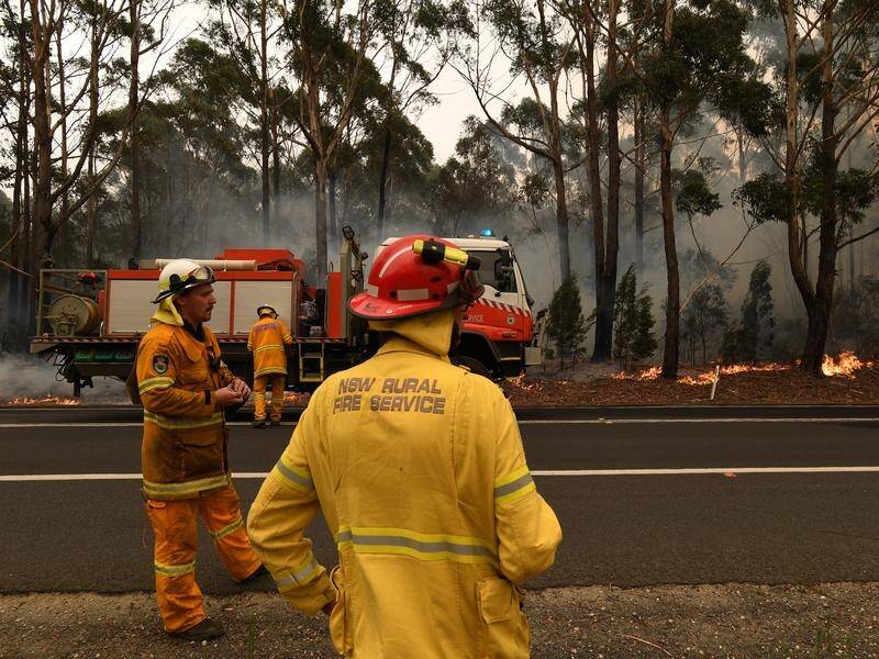 Extreme fire danger warnings are forecast for some of NSW this week, with total fire bans likely. (Dean Lewins/AAP PHOTOS)