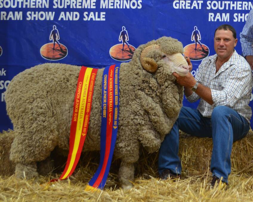 Sean Ballinger with Waverley Downs stud's Great Southern Supreme Merino Show champion junior ram in 2017.