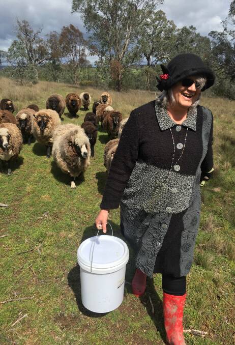 WALK THIS WAY: Sylvana Thompson, Ridgewood, Rylstone, with her faithful sheep. Mrs Thompson and her husband Ken have been breeding coloured sheep for around seven years.