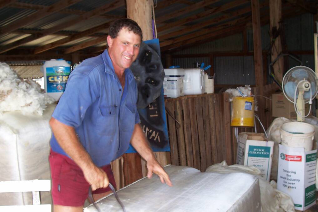 Sean hard at work in the shearing shed.