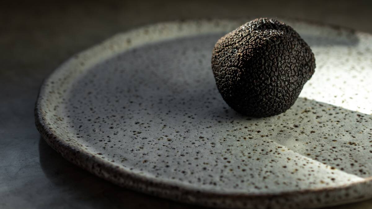 MAGIC: Hartley Truffles sells around 50 kilograms of truffles a year, direct to restaurants through the EAT Truffle co-op, or at Blackheath and Carriageworks markets in the truffle season.
