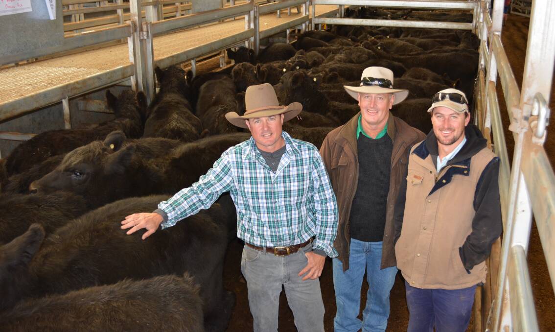 Taralga property manager Nick Ray, and owners Michael and Matthew Johnston, "Mingary Park", with their line of 227 weaner steers which sold for a top of $1070. The trio also sold 210 heifers and 155 cows at Carcoar.