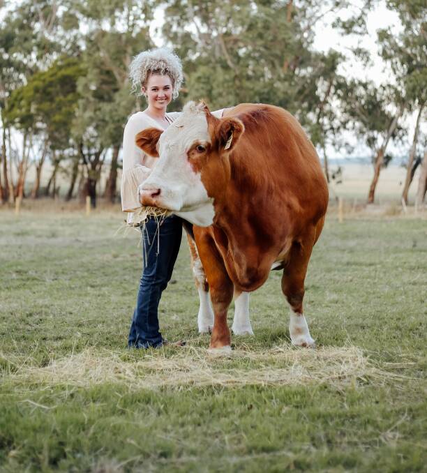 HANGING OUT: Ruby Canning, Mavstar Simmental stud and Mavstar Photography, with her beloved stud cow Dakota, given to her by her grandfather Peter. Photo by Emma Jane Industry.