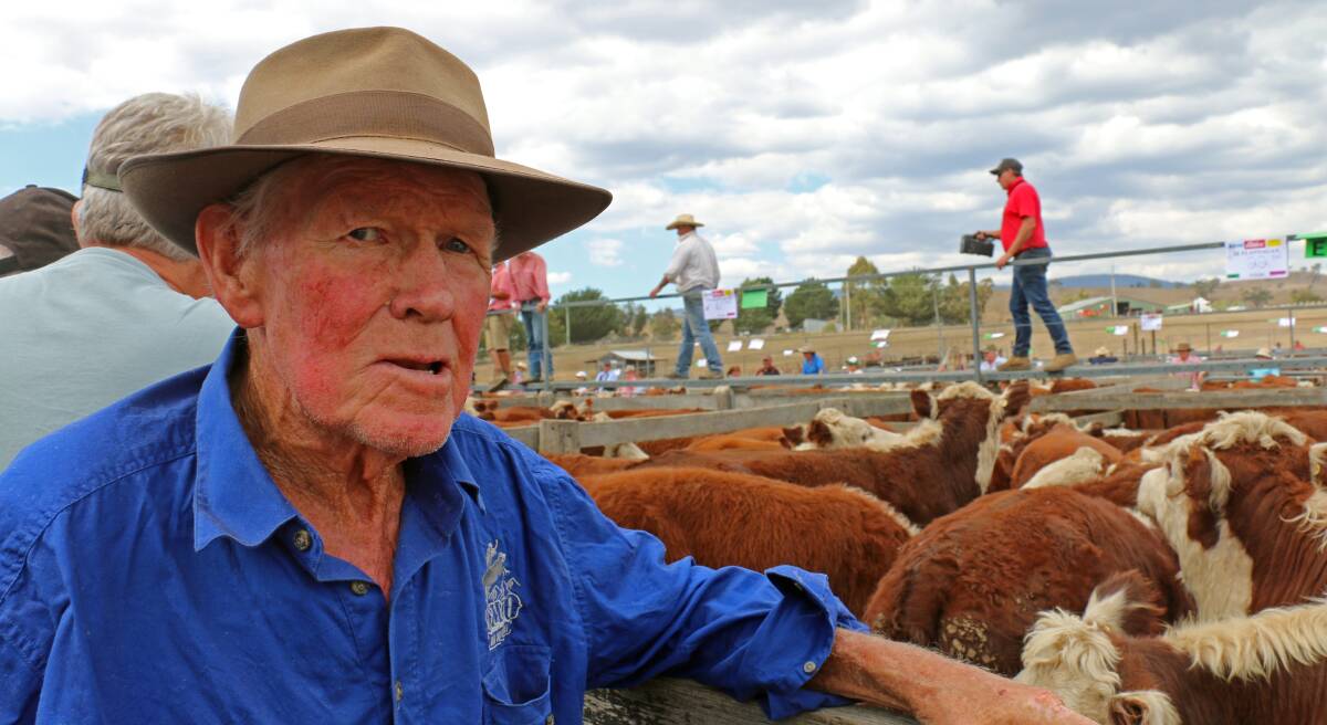 Jim Flannagan, "Spring Vale", Omeo, at the Omeo weaner sale this year. The passionate Hereford breeder sold his steer weaners for $1080 a head. Photo courtesy of Herefords Australia.
