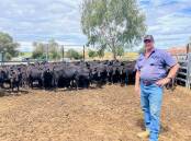 KICKING GOALS: Tom Bowman, Tarpoly, Manilla, with his Wagyu-cross weaners. Mr Bowman found Wagyu genetics boosted marbling and calving ease in his herd.