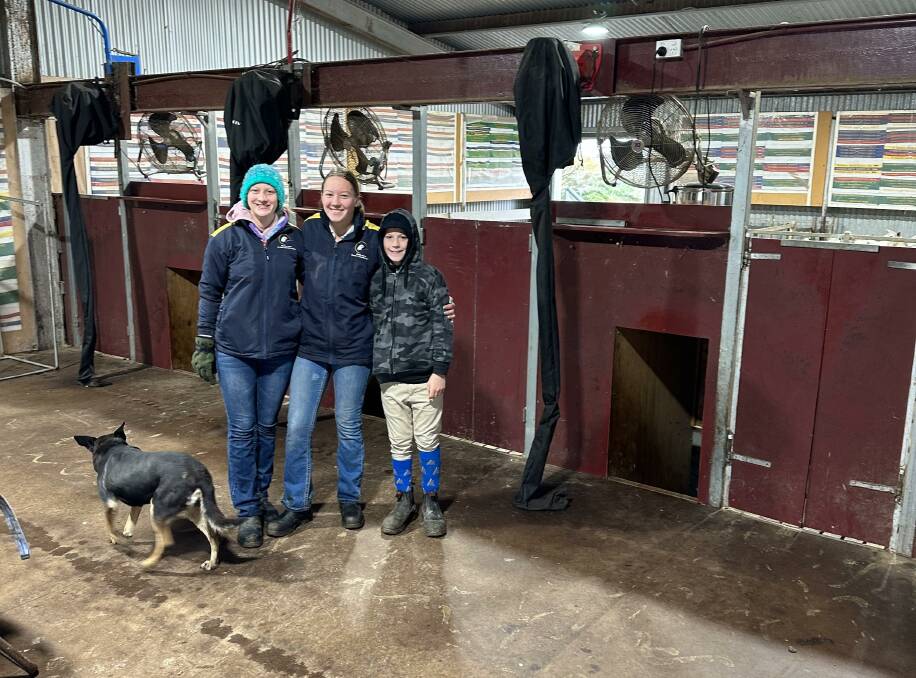 Christine, Elizabeth and Jeffrey Sutton, along with Ding, in the family's revamped shearing shed. Picture supplied