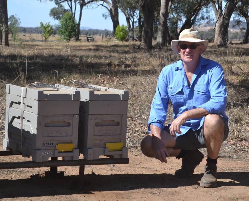 BUSY AS A BEE: Neil McMillan, who runs Honey Brothers with his friend Bill Barnes, Eugowra, with some of his bee hives. Neil says bees are intriguing creatures who do a great deal for the environment.