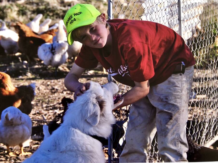 TIME FOR A SCRATCH: Josh Murray with one of the family's Maremma dogs, who guard the hens. Today their 10,000 hens are housed at night in eight mobile hen sheds.