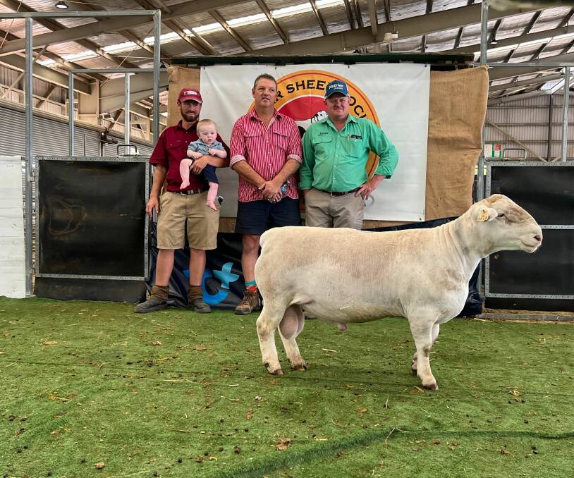 Seller of the top White Dorper ram in 2022 Thomas Youlden with baby Fox, purchaser Brad Edson and agent John Settree. 