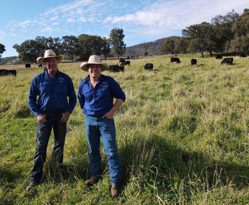 CAPABLE HANDS: Lead stockman Scott Fitzpatrick and overseer Luke McWilliam at Parraweena Highlands Cattle Company.