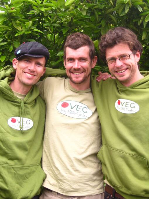 THE DREAM TEAM: The Very Edible Gardens team, Nathan Edwards, Adam Grubb and Dan Palmer in 2010.