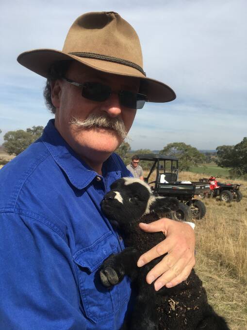 A TAIL OF LOVE: Ken Thompson, Ridgewood Rylstone, with one of their beloved Corriedale Black Merino-cross lambs. He and wife Sylvana have been breeding coloured sheep for around seven years.