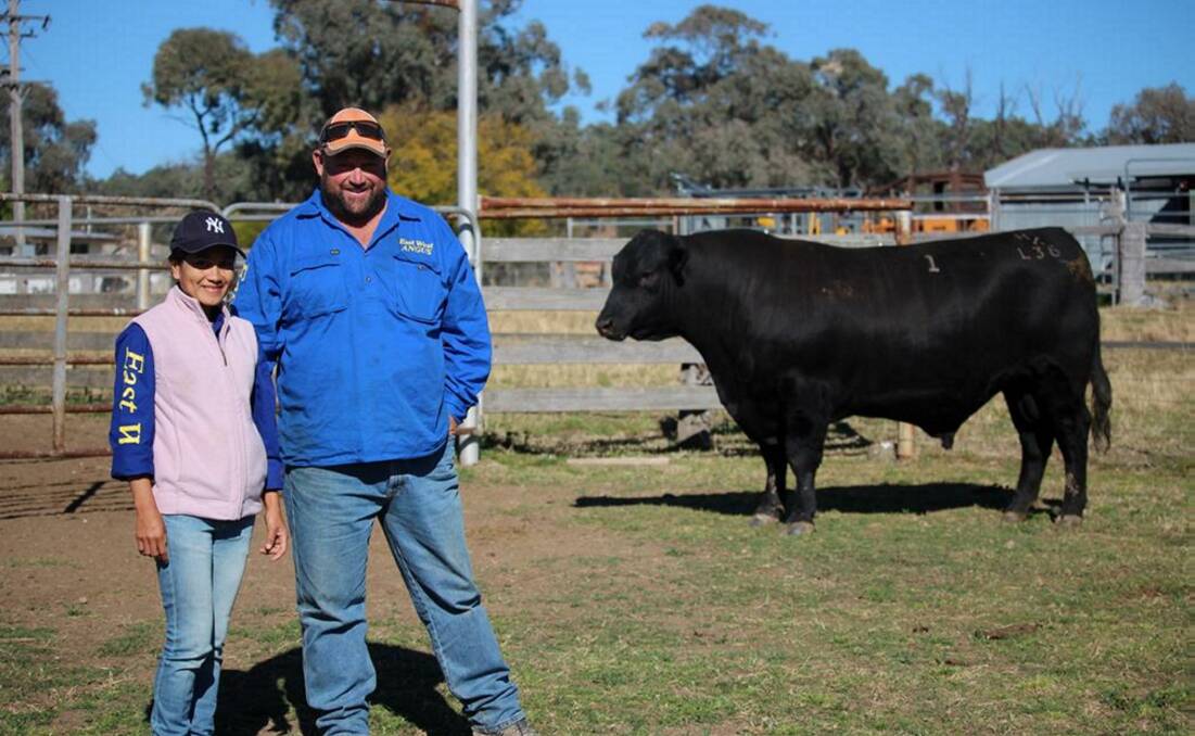 East West Angus stud owners Shane and Lanie Adams with Carabar Docklands L36. He will be display on day four of Northern Beef Week.