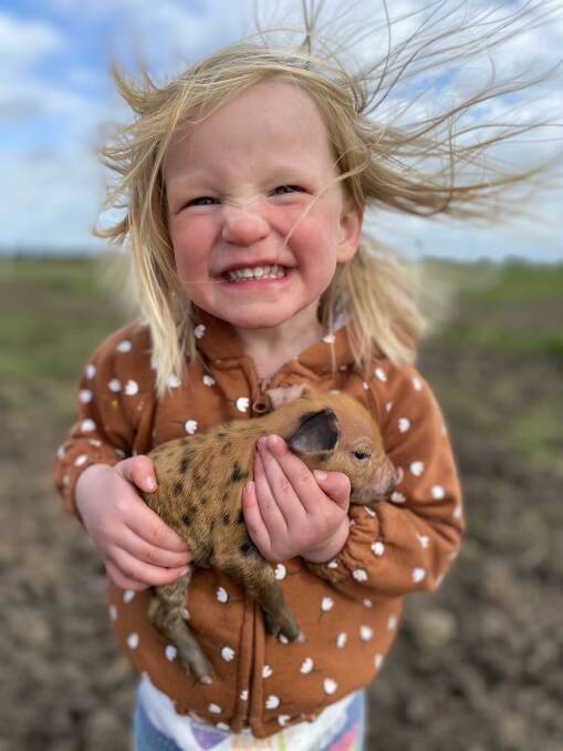 TWO PEAS IN A POD: Georgie Meade, 2, spends some happy times with a piglet on her family's Barongarook Pork farm. The Meade family grows free-range Berkshire and Duroc pigs.