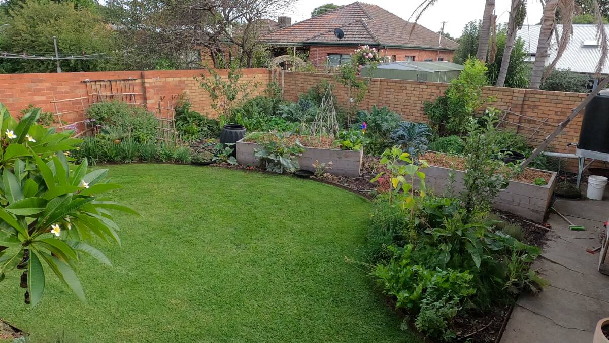 TRANSFORMATION: A VEG edible garden thriving only 12 months after it was installed.