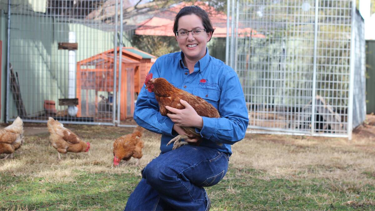 DO YOUR RESEARCH: LLS district vet Lou Baskind says chook owners with concerns can call the local LLS for advice. They can also contact the Poultry Hub for information.