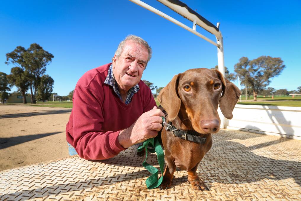 LEGACY: Ross Edwards and his dog Ralph. After decades in the role, Mr Edwards has stood down as a Henty Machinery Field Days director. Picture: JAMES WILTSHIRE