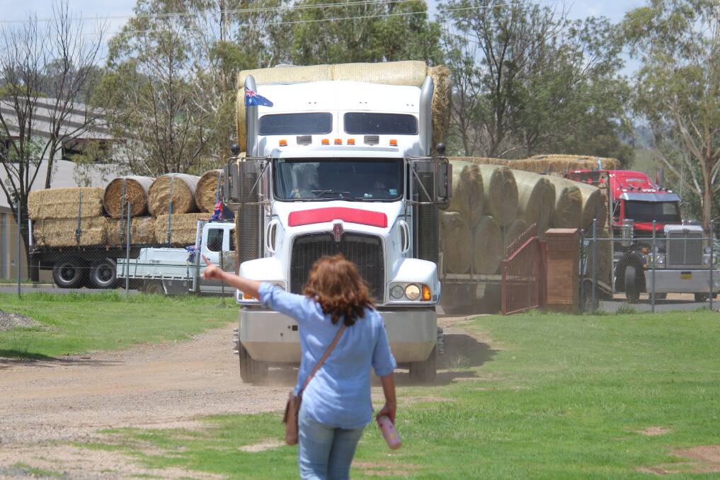 HAY LOAD: Belinda Ackling from Armidale Regional Council directing trucks at the showground on Saturday ahead of the Australia Day celebration. Photo: Steven Green