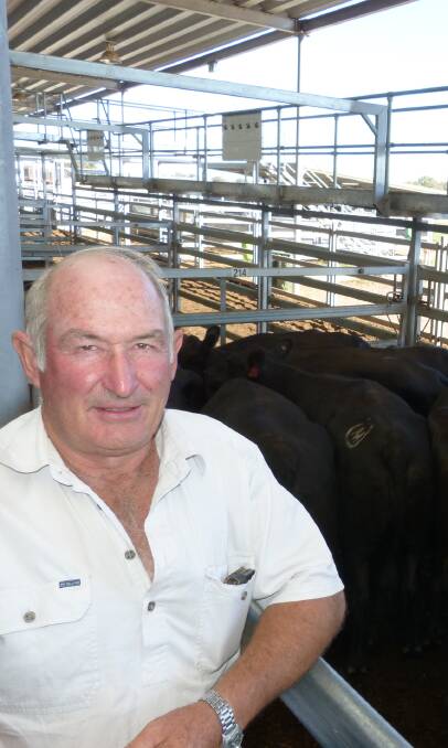 Jamie Wilson, Bunarong Partnership, has sold their property at Burrumbuttock and sold 34 Angus cows and calves from $1520-$1670 at Wodonga, Thursday.