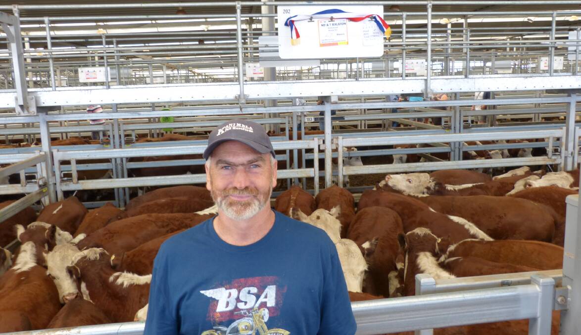 Trevor Ralston, "Hollywood", Euroa, sold Hereford steer calves to a top of $1260, at Barnawartha, Thursday. Hereford cattle were well supplied, in good condition, and sold better than expected.