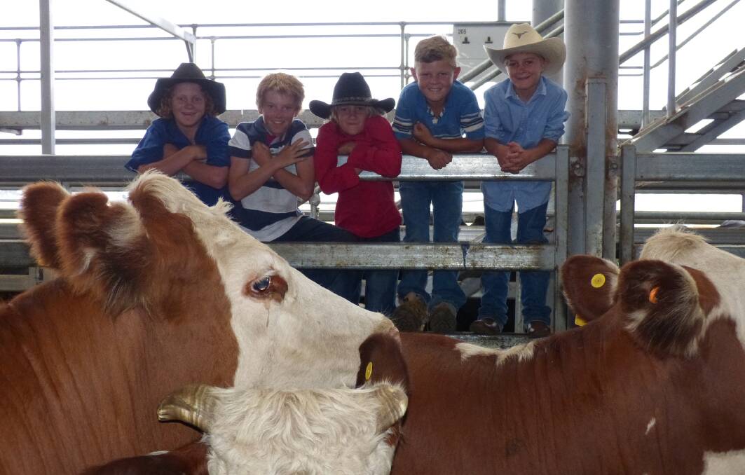 Five young lads, future farmers, L-R, Ethan Tanner, Tom Reardon, Spencer Tanner, Ben Reardon and Mackenzie Tanner were looking at the yarding of female cattle at Wodonga.