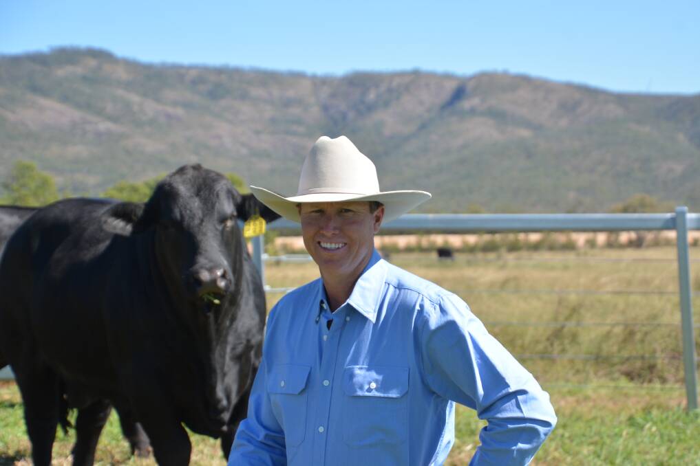 BEEFY MARKET: The success of the inaugural Telpara Hills Brangus bull and female sale has the Far North cattle industry abuzz. Stephen Pearce and his family was thrilled at the result. Photo: Brittany Pearce.
