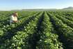 Kimberley cotton gin plan receives major funding boost