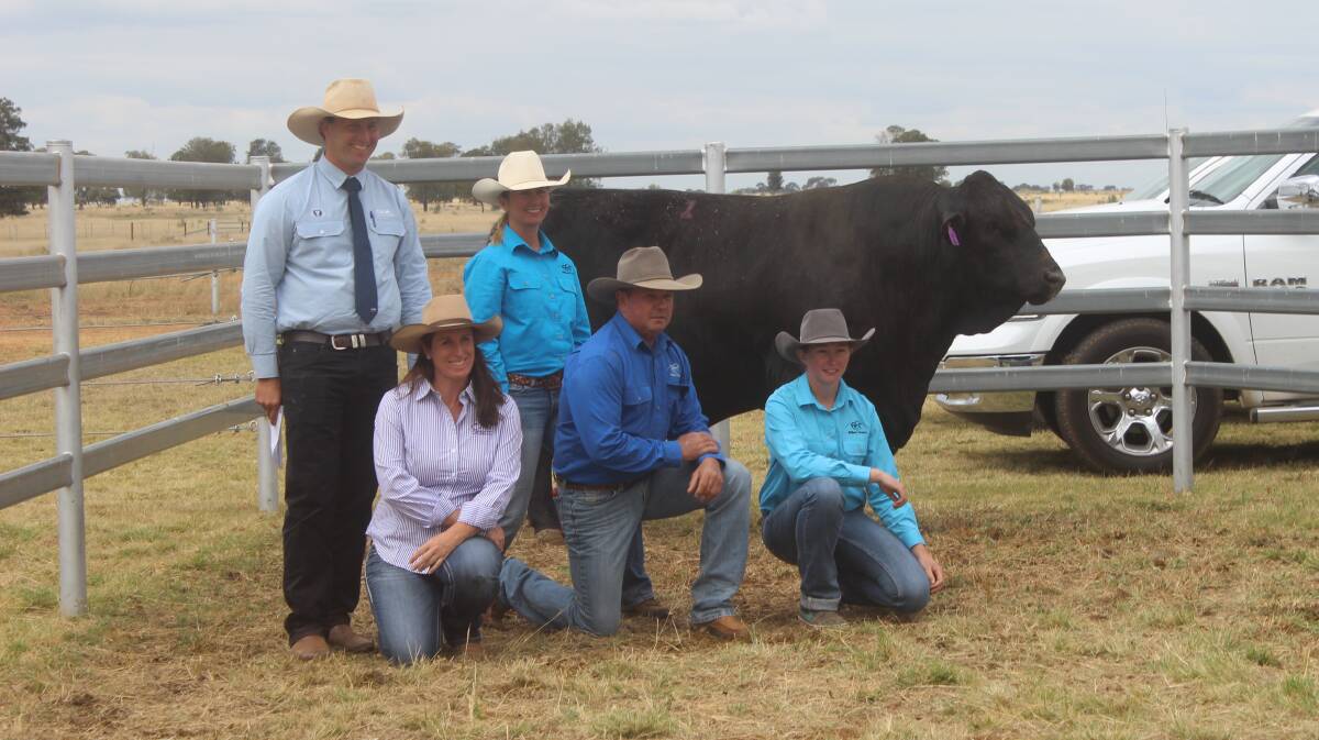GDL auctioneer Josh Heck, Kim Groner, Lenore and Mick Cole and Alisha Allen with the top price black Simmental bull Elite Platinum who sold for $22,000. 