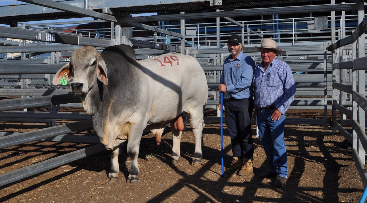 Neville Sommerfeld, with $72,500 second top-priced bull, Brahrock Ashley Sir Brandon (IVF) (D), owned by his son Ashley, and the buyer Stewart Nobbs, Yoman Cattle Co, Qld.  