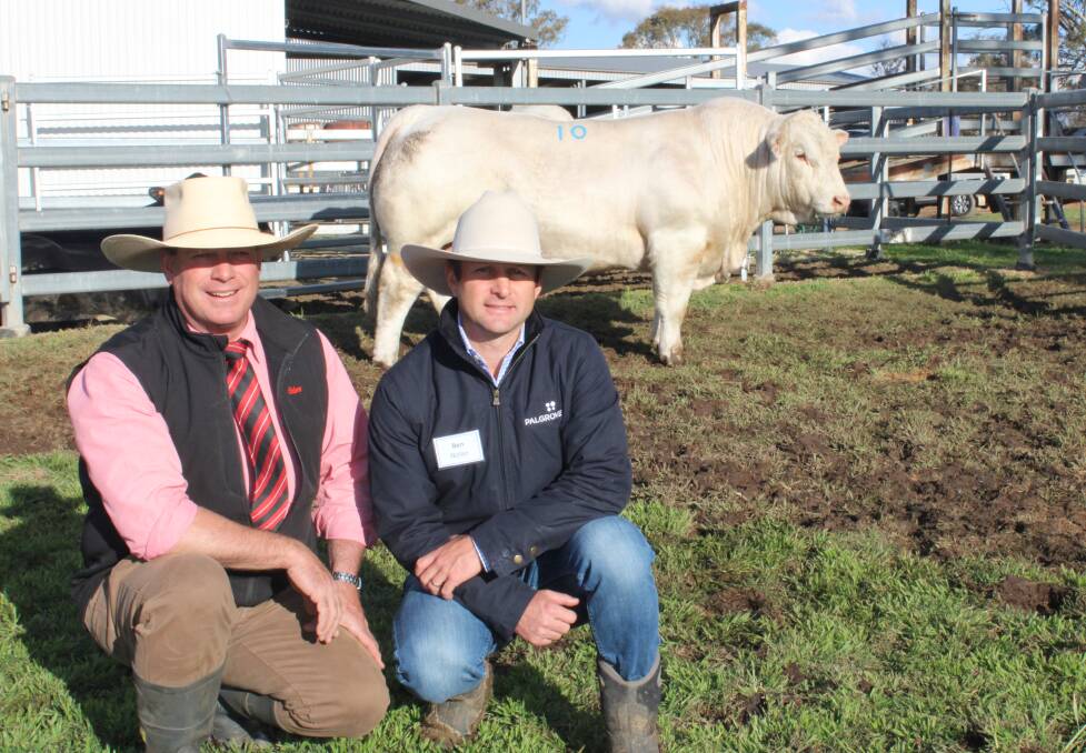 Elder's auctioneer Michael Smith with Ben Noller of Palgrove and the sale topper at $115,000, Palgrove Ringo, bought by Len and Sue Bode, Percol Plains, McKinlay, Qld. Photos: Helen Walker 