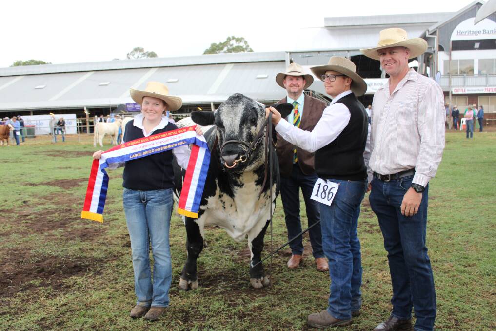 Large breed interbreed champion bull was Wattle Grove Jagerbomb (P) held by Brad Hayward with Claudia Humphries, president of Toowoomba Royal Show Shane Charles, and Speckle Park International president Mitch Warrener. 
