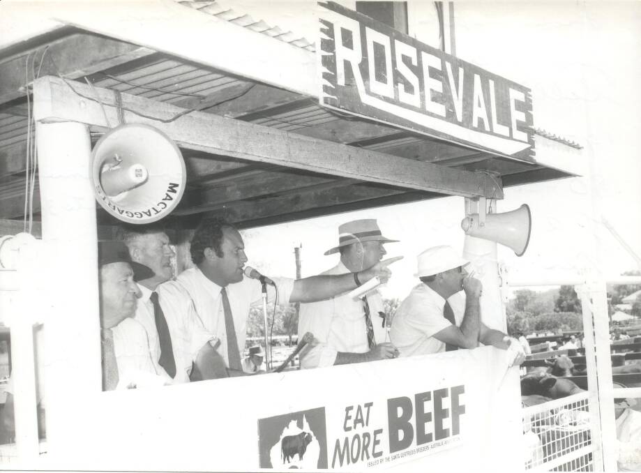 Garth Hughes in the auctioneers box at the 17th annual Rosevale sale with Tom Knox, Jim Hickey, George Greenup and Doug Mactaggart. Photo: Courtesy of the Greenup family, Rosevale Santa Gertrudis stud, Jandowae, Qld