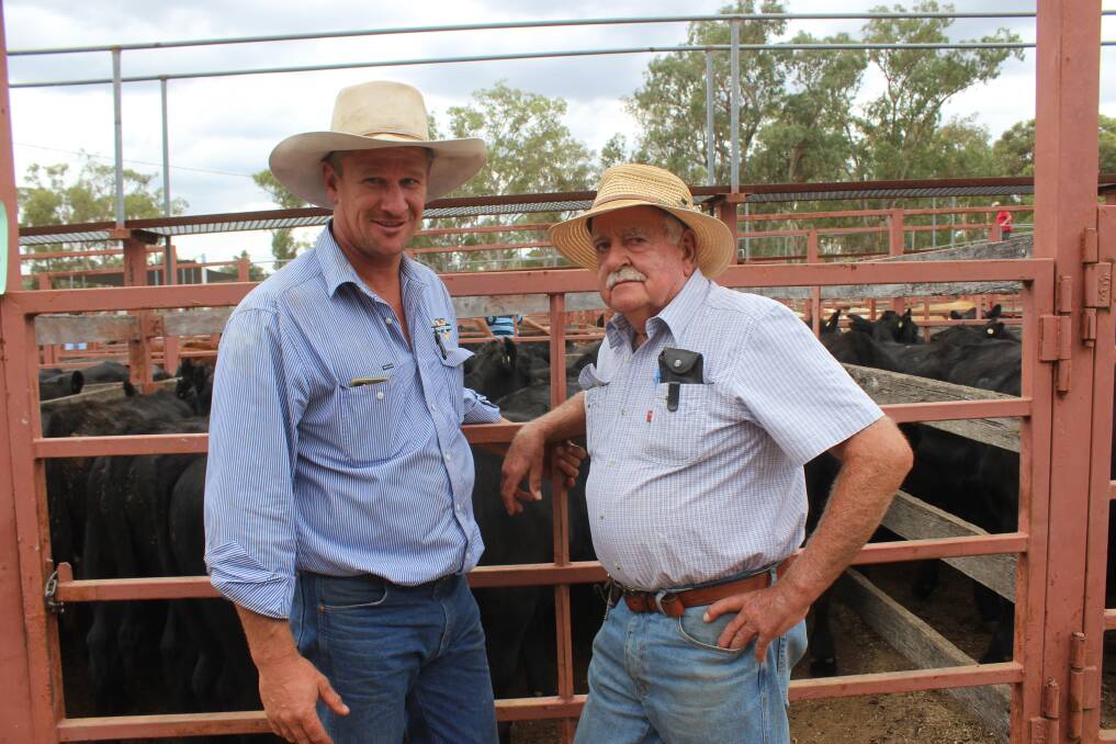 Sale-O: Selling agent Matthew Grayson, George and Fuhrmann, Warwick, with vendor Fred Pratt, Clearview, Eukey, at the Stanthorpe Early Weaner sale held at the Stanthorpe Showgrounds on Thursday. Picture Helen Walker