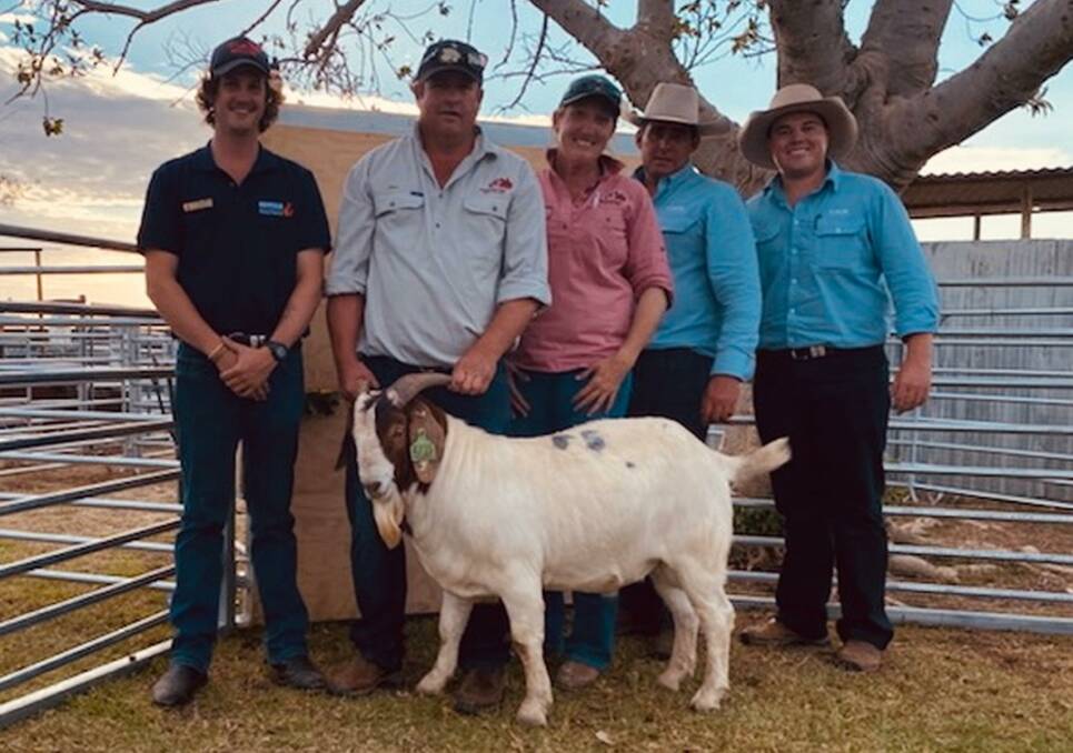 Pieter van Jaarsveld, Sunset Hill Boer Goats, Inglewood, Qld, Jake Berghofer and Emma Patterson with Anthony Hyland and Sam Clarke, GDL and the $3600 top buck. 