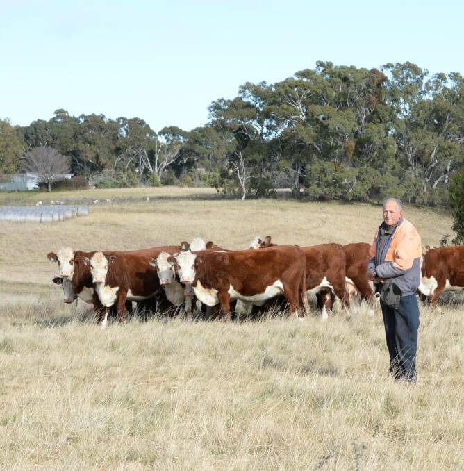 Keston Park Poll Herefords owner operator, Barry Clark, Guyra, said he breeds Poll Herefords simply because they are the “best". 