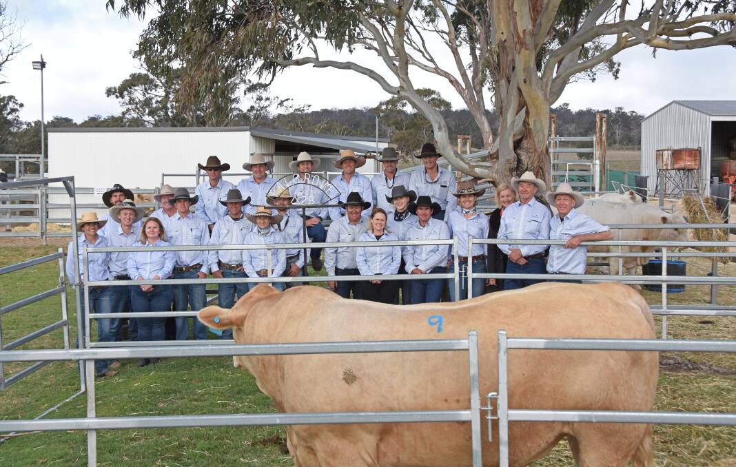 The Palgrove team was awarded for their efforts when the 149 Charolais and Ultra Black bulls through the ring at Strathgrave, Dalveen, set several new records on Friday.