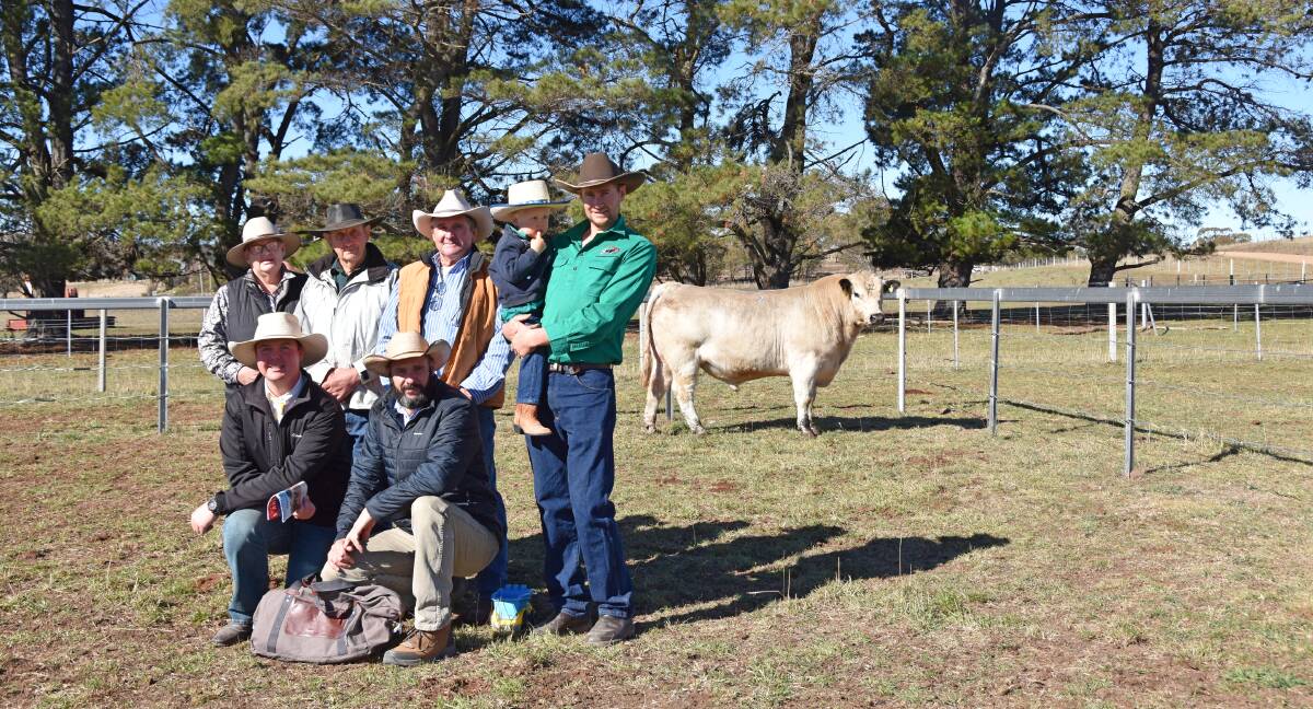 Helen and Eric Turnham, Waratah Speckle Park, Dennis Power, Minnamurra Pastoral Company, Dustin and Laiton Turnham, Waratah Speckle Park, Ray White Rural auctioneer Blake O'Reilly, and Michael Clark, Rabobank, Armidale, with the top priced bull, Waratah M&M LST M09.