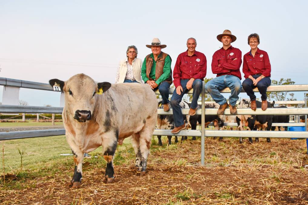 Buyers Karen and Tom Murphy, Benbullen, Seaforth, and Dorroughby Speckle Park stud principals Tom, Dean and Lee Missingham with the top priced bull, Dorroughby Ridge R11.