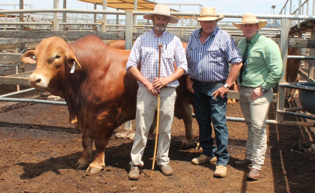 Tim Lloyd of Heitiki Droughtmasters, Delungra, with buyer Paul Russell and auctioneer Colby Ede, Landmark. 