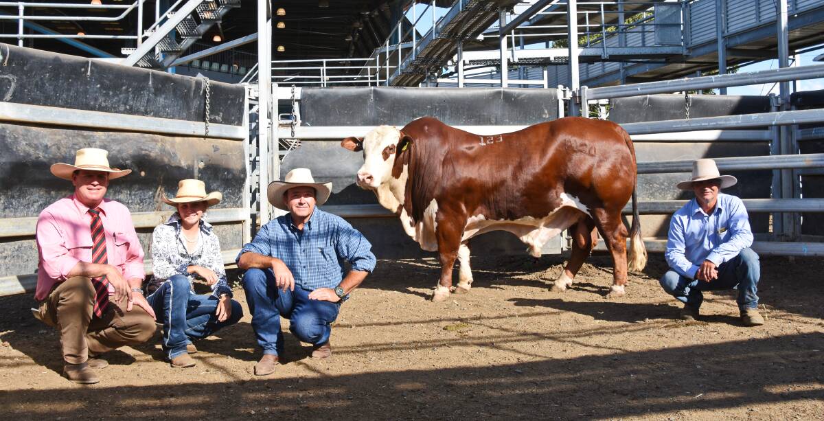 Selling agent Michael Smith, Elders, buyers Airlie Treloar and Daniel Treloar, Rockhampton, and vendor Craig Chad, with the equal top seller, Double C P124 Playboy (P).