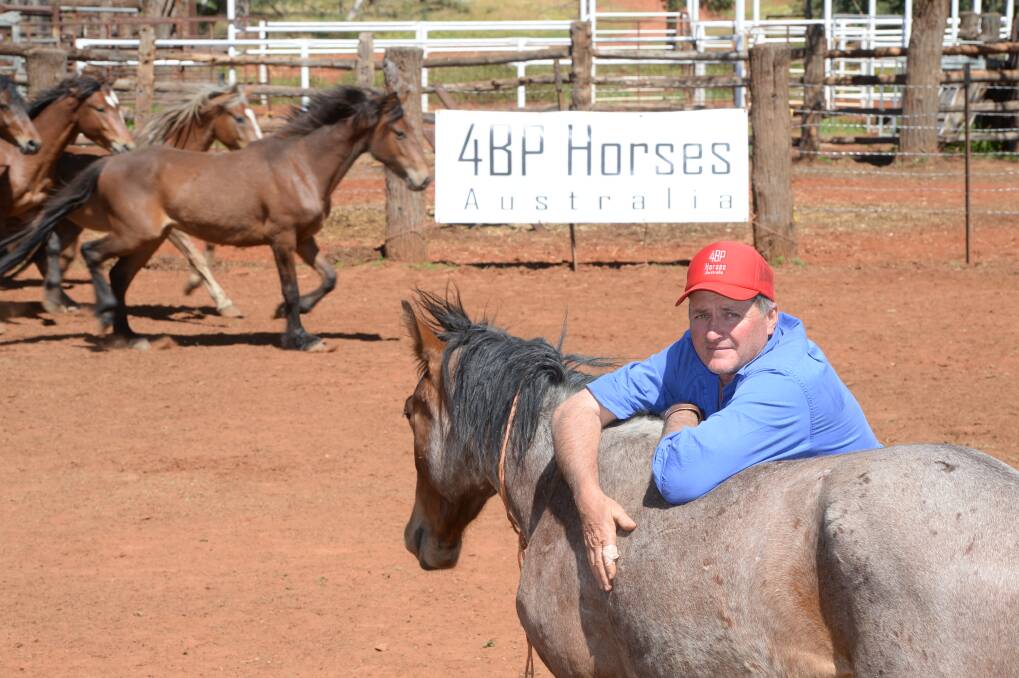Jarrod Hughes, 4BP Horses, Belarabon Station, Cobar, with some of the horses he trained recently.