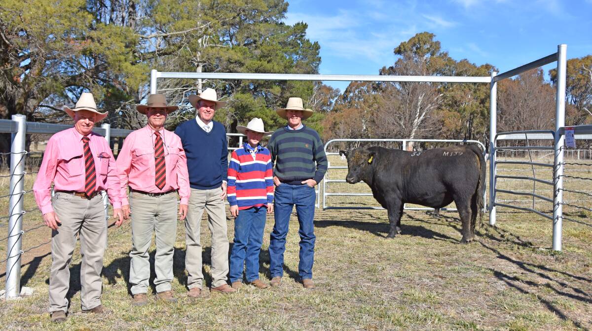 Elders Armidale agents Wayne Jenkyn and Brian Kennedy, auctioneer Paul Dooley, Tamworth, Eastern Plains stud principal Andrew White and son, Gus, with the top-priced bull, Eastern Plains Marola M139, which sold for $12,000.